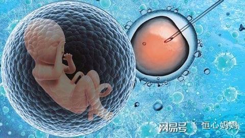 孕妈代妈应聘机构